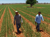 Stay updated: projects, events and more