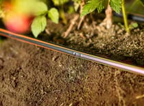 Drip Irrigation