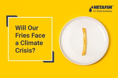 Crops at Risk: How Climate Change Affects Our Favorite Flavors