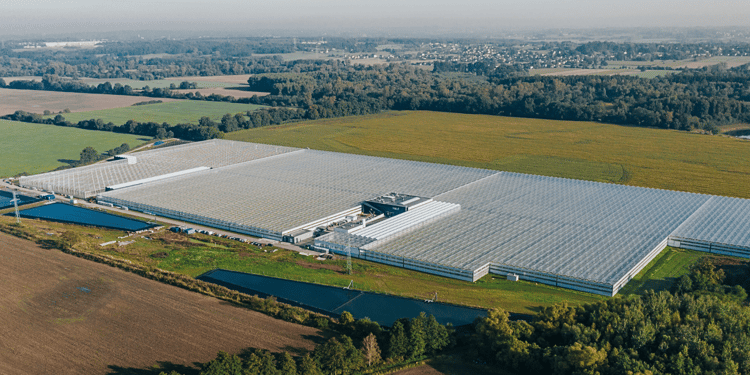 Commercial greenhouse Farma Bezdínek