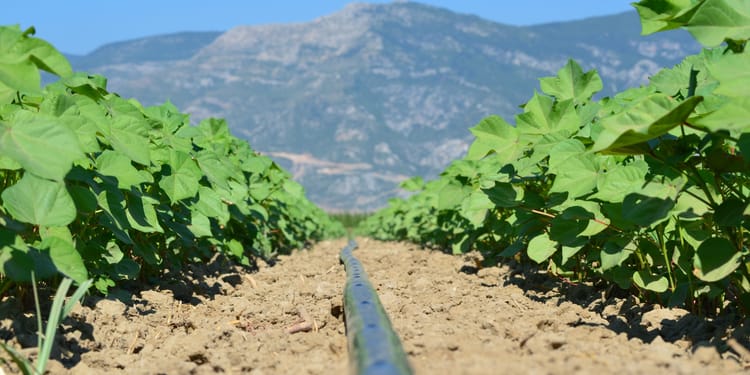 Fulfilling Regenerative Agriculture Through Precision Irrigation 