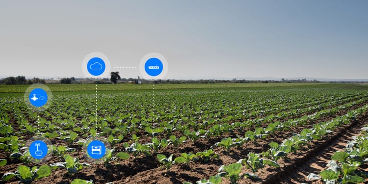 OPTIMIZE YOUR CROPS PRODUCTIVITY WITH NETBEAT™