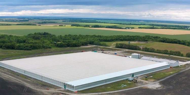 Growing vegetables in a high-tech greenhouse to increase food security