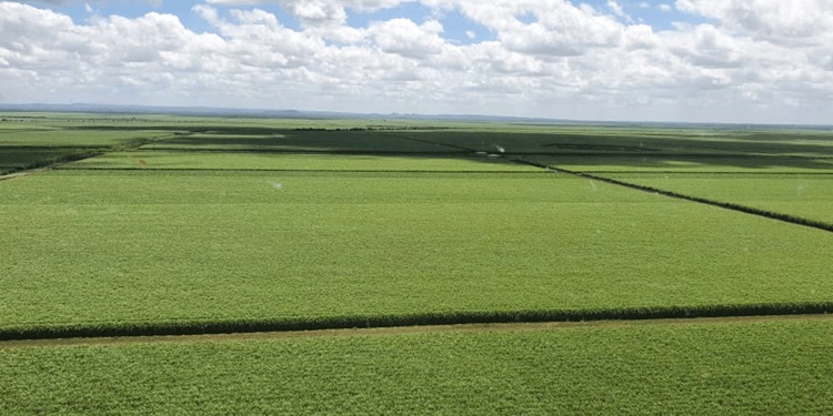 Partnering for Sustainability: Water-wise Sugarcane Farming for Ethanol Production