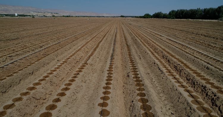 Netafim Climate Solutions Program