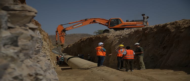 From Wilderness to the Forefront of Sugarcane production