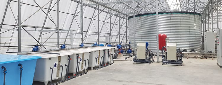 Greenhouse Water Systems