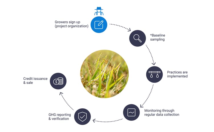 generating carbon credits infographic