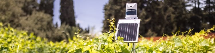 Banner Crop Advisor: Your Solution to Irrigation Uncertainty