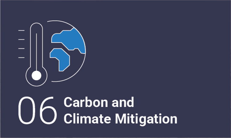 carbon and climate mitigation