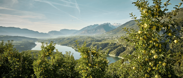 The Most Advanced System to Protect the Environment