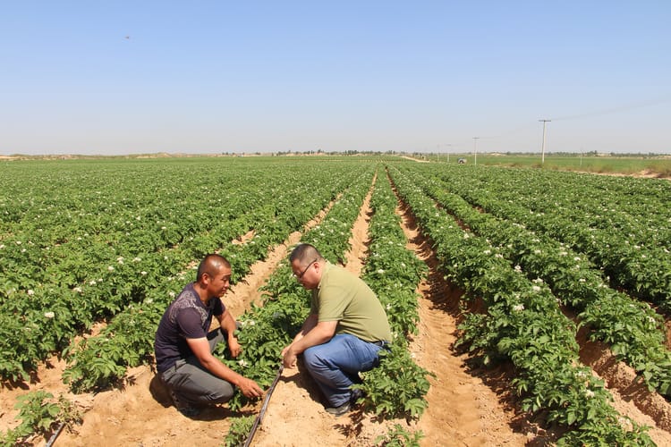 From Concept to Completion