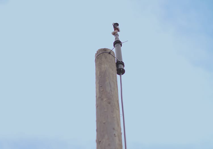 pulsar- frost protection Web