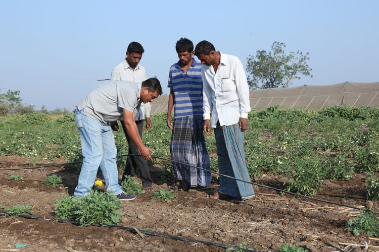 india-ramthal-farmers-at-work