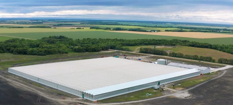 Growing vegetables in a high-tech greenhouse to increase food security