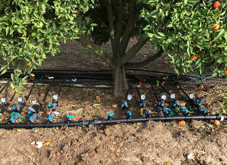 drip as a delivery system post