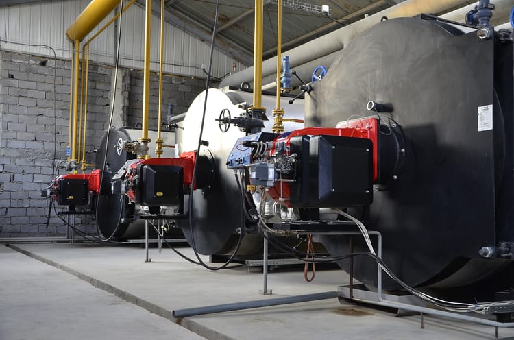 Turkmenistan Greenhouse tomatoes blog-2