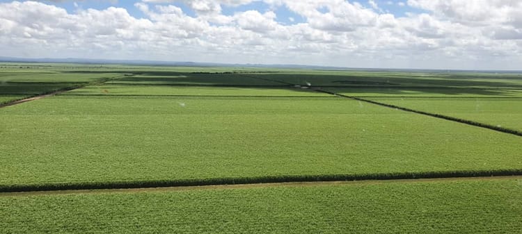 Partnering for Sustainability: Water-wise Sugarcane Farming for Ethanol Production