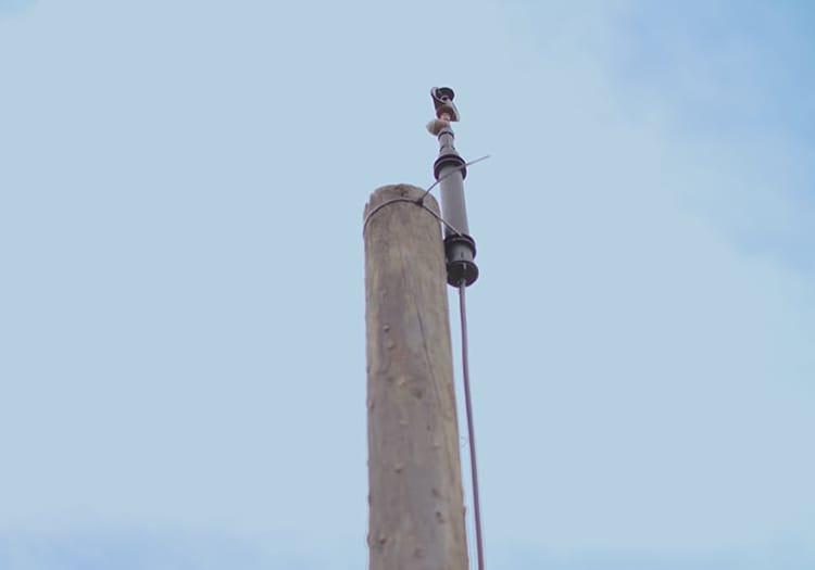 pulsar- frost protection Web