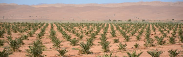 Banner Precision agriculture for a sustainable regional future