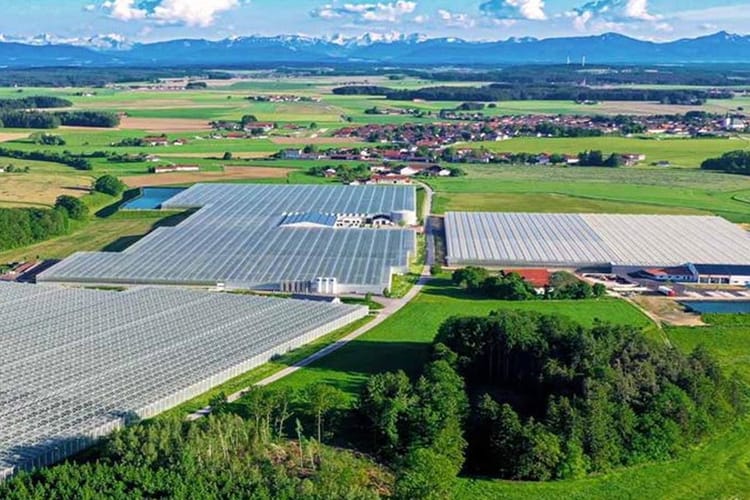 Steiner-greenhouse-gakon-netafim