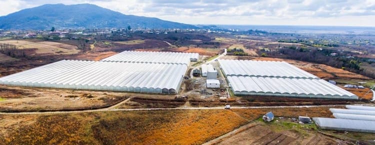 Greenhouse Project Management