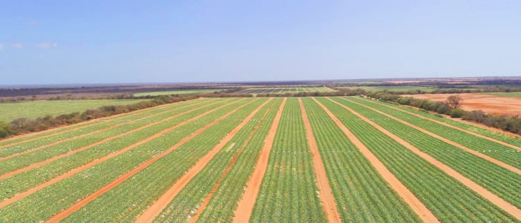 Ensuring a food secure future with precision irrigation systems