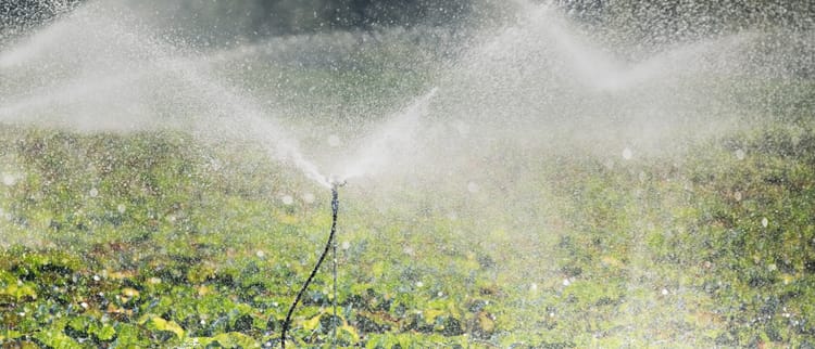 Sprinklers, Micro-Sprinklers and Special Emitters