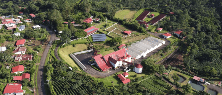 Pioneering Sustainability: Coffee Farm Embraces Drip Irrigation in Costa Rica