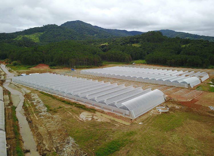 Aerial view of greenhouse in Vietnam