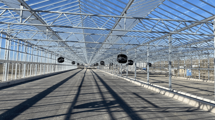 Wastewater Treatment in a Commercial Greenhouse