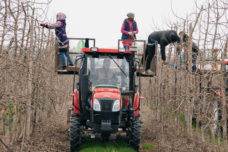 People riding tractor and working on farm