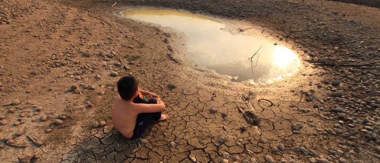 SUSTAINABLE AGRICULTURE