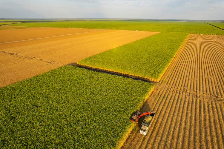 Greenfuel_SADC_2023 (14)