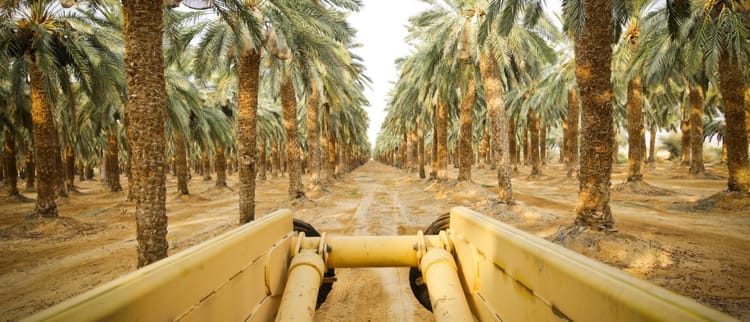 Operation & Maintenance