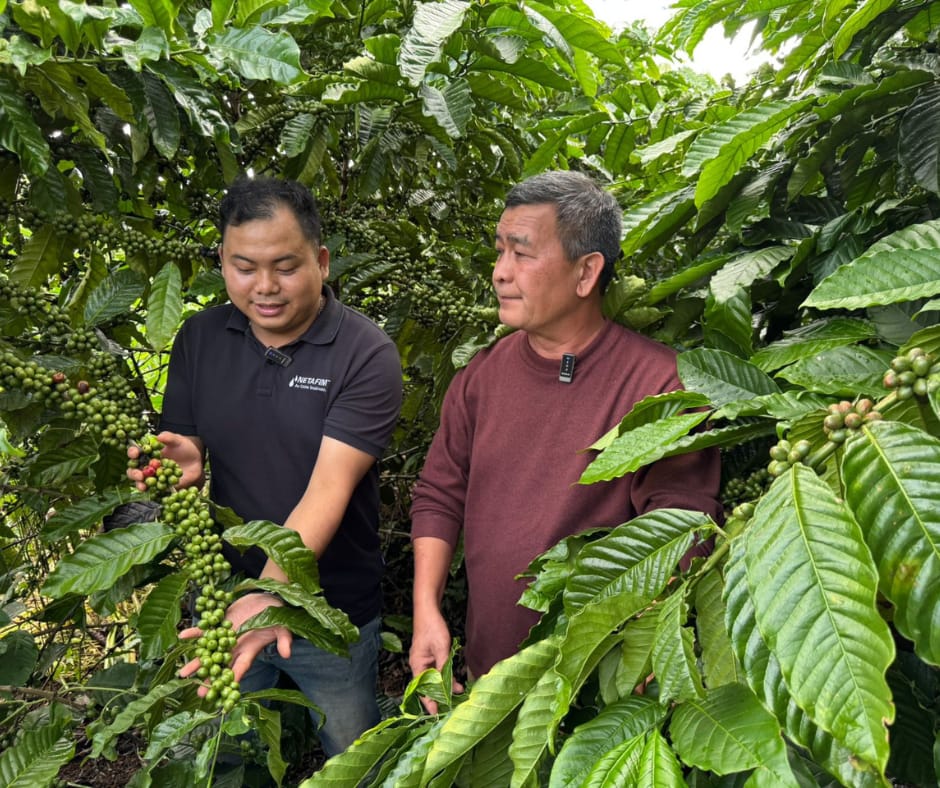 Orbia Netafim’s Khang Thinh and Hillridge Technology Partner to Bring Climate-Smart Insurance to Coffee Farmers in Vietnam