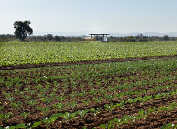 Fertilizer Volatility Pushes European Farmers Toward Precision Irrigation