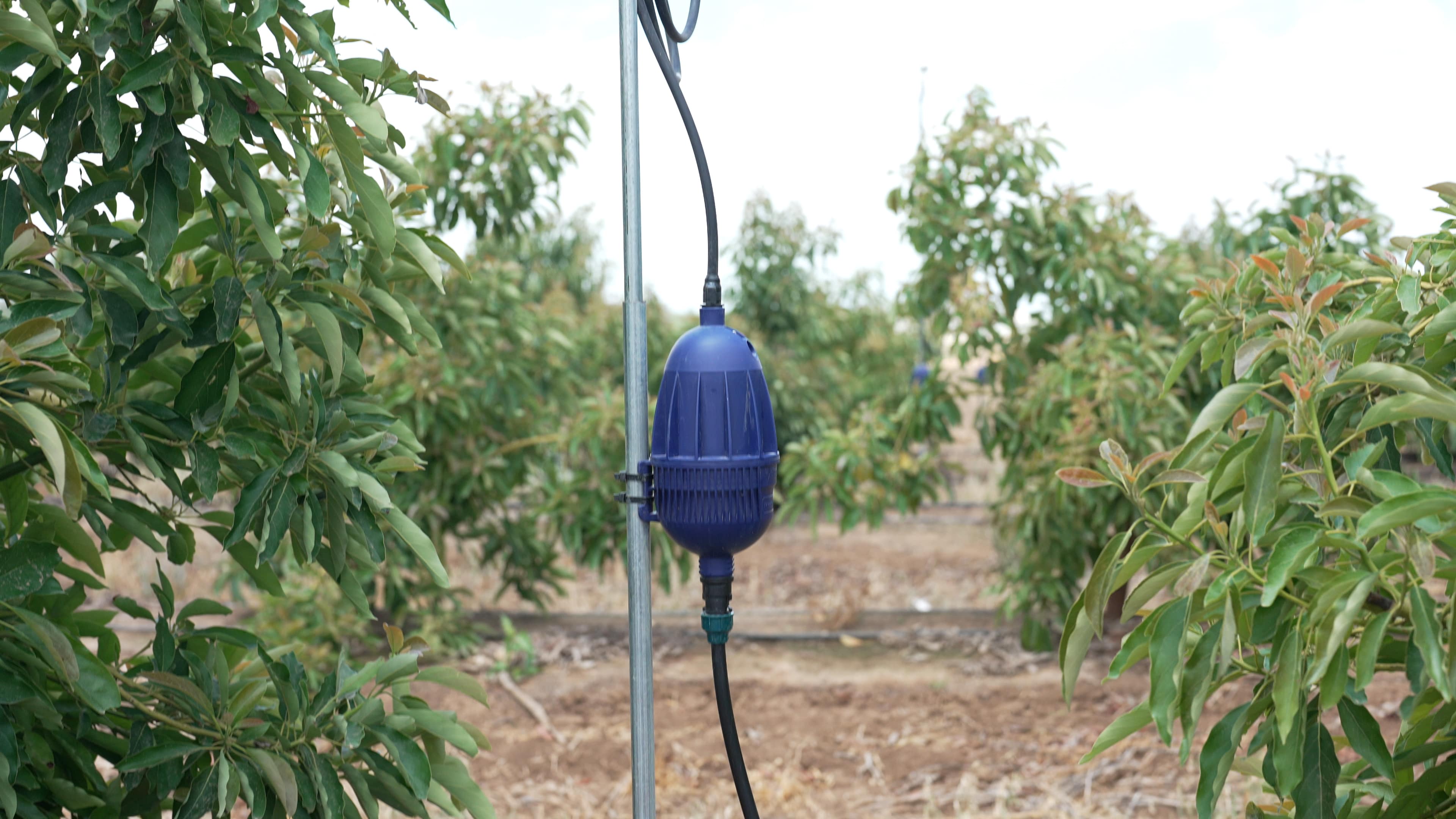 Orbia Netafim Introduces Mega-PULSAR™ to Protect Orchards from Extreme Heatwaves