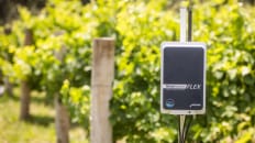 Gal Yarden on Netafim’s Mission to Bring Digital Farming to Smallholder Farmers