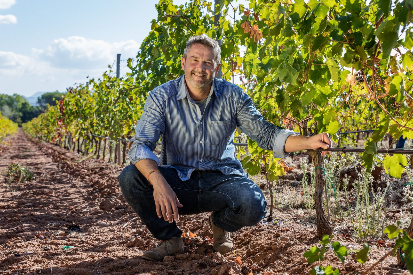 What is drip irrigation in agriculture?