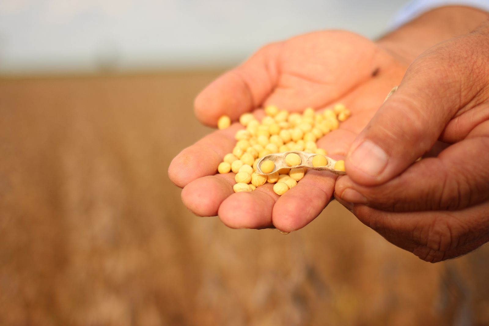 Why does the world need drip?