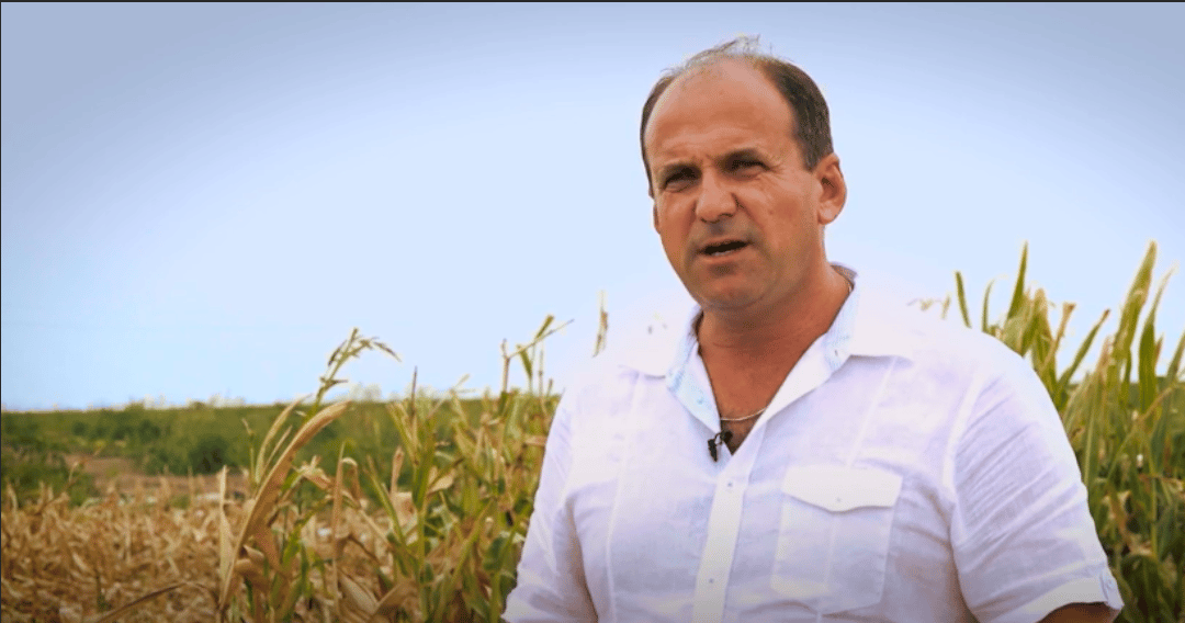 Cristinel Brânză, Romania