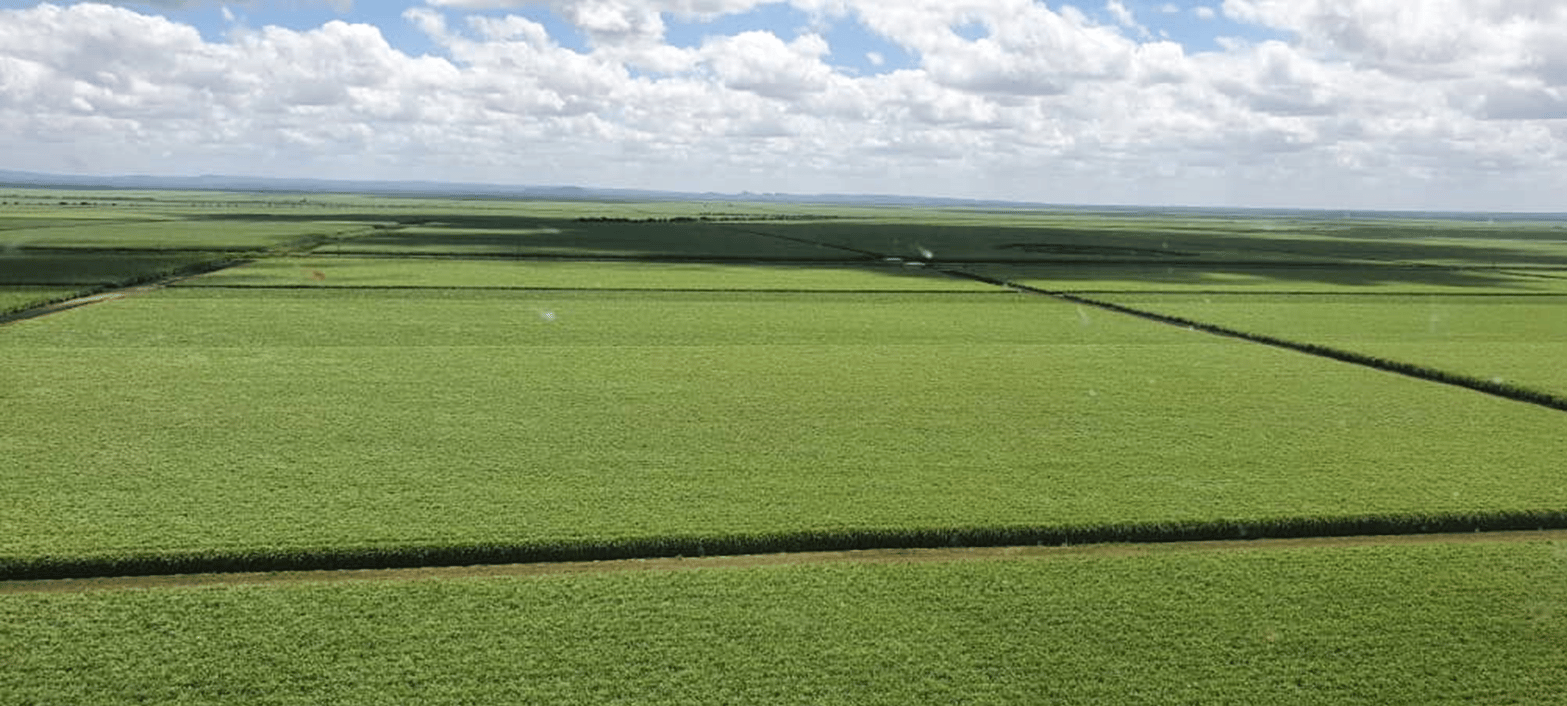 Zimbabwe